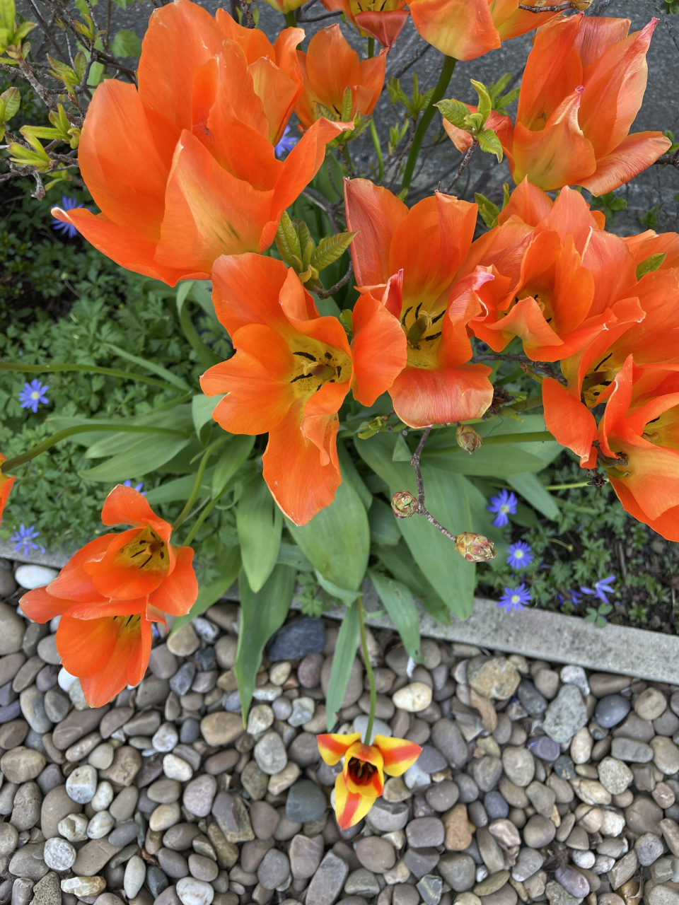 5fdfbac6-454f-c65e-f563-4a29a8195ddf