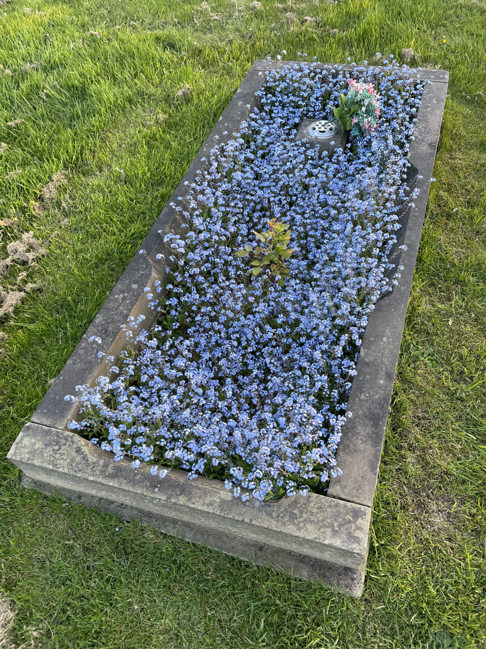 9d9284a6-9ebb-6abb-152a-44bca06efb39