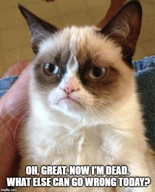 grumpycat