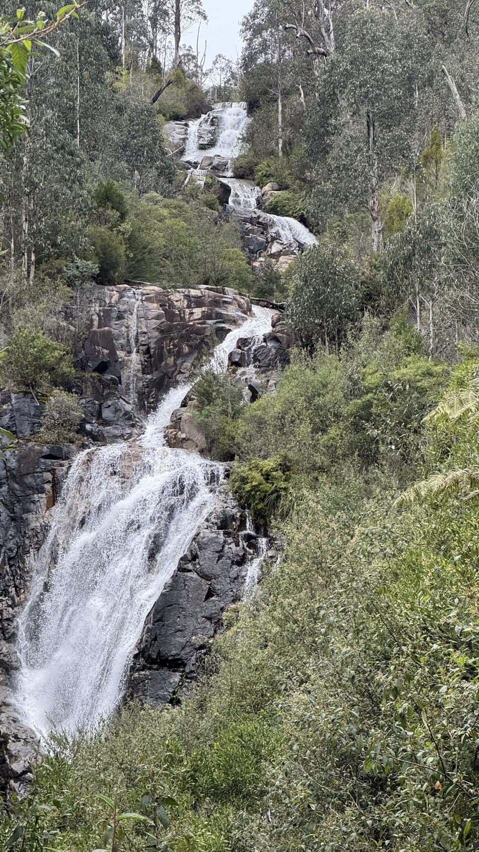 92da80e8-3a81-009f-f210-2e76ed0146f6