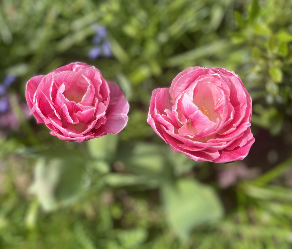 521f5292-61ec-87d5-746a-32dbe7a06b56