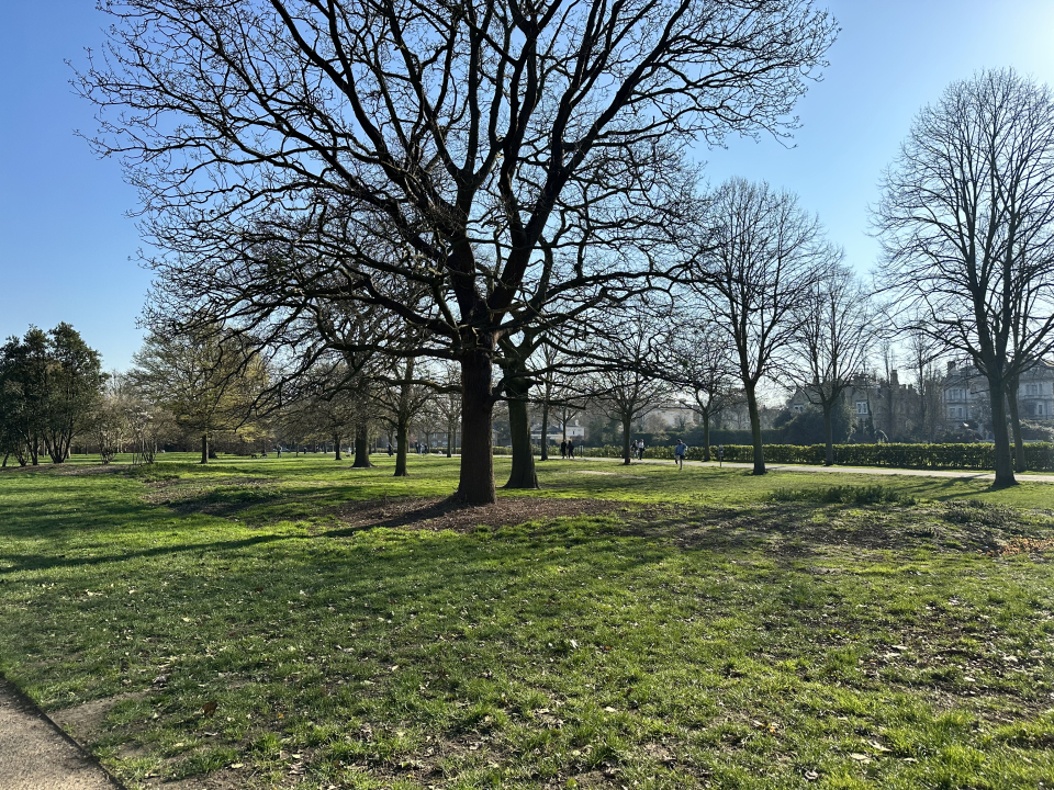 530f7b61-10a7-110c-6039-a26d80bca341