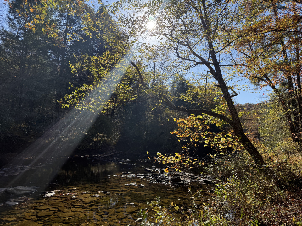 c5520ce7-1447-212c-1d74-a62583cb9900