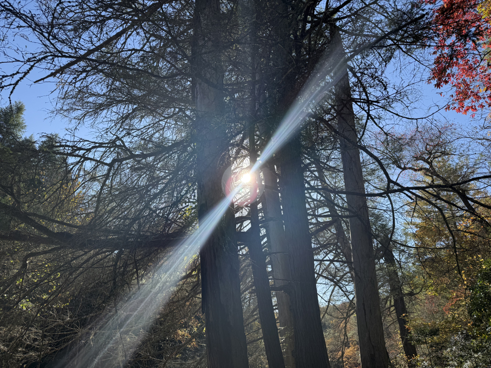 3574eef8-7fcb-c435-2cca-52b4c438714a