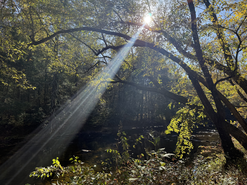 beabd065-7fc8-b4ad-04ca-3dd0abf848d3