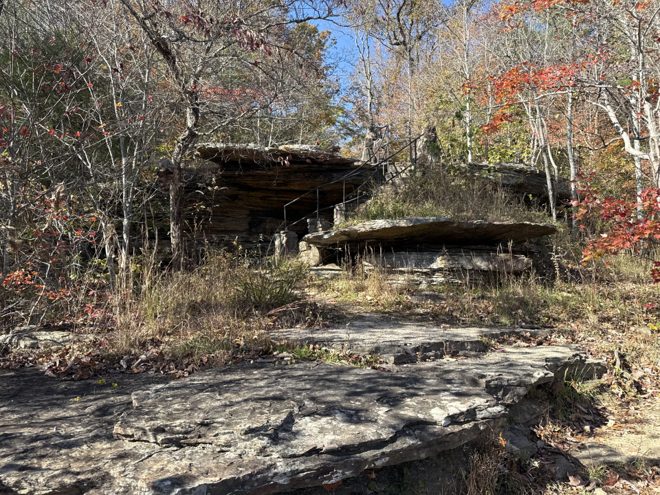 313a0a9b-59a6-7864-cb5e-c300477b3294