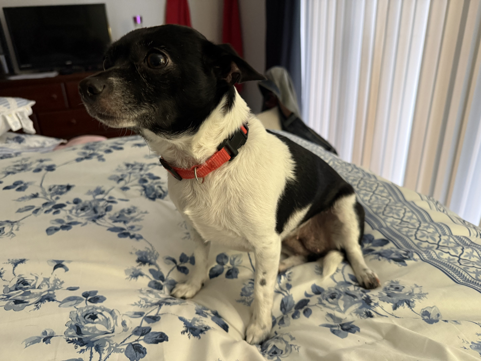 0cd53400-886d-0343-7c3e-525869dbdb4c