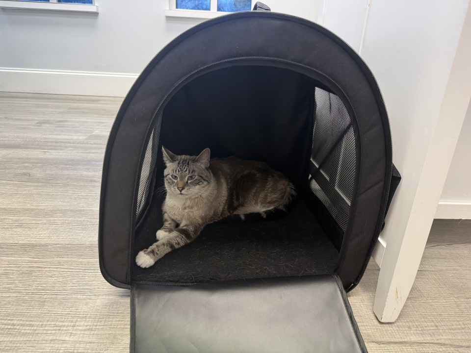 7fa25da4-61d3-d056-2c12-a23a9c1bebe1