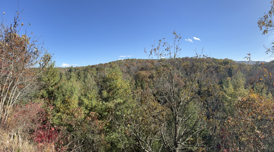 59598028-6cdd-2d8c-28d4-b809abd7ea23