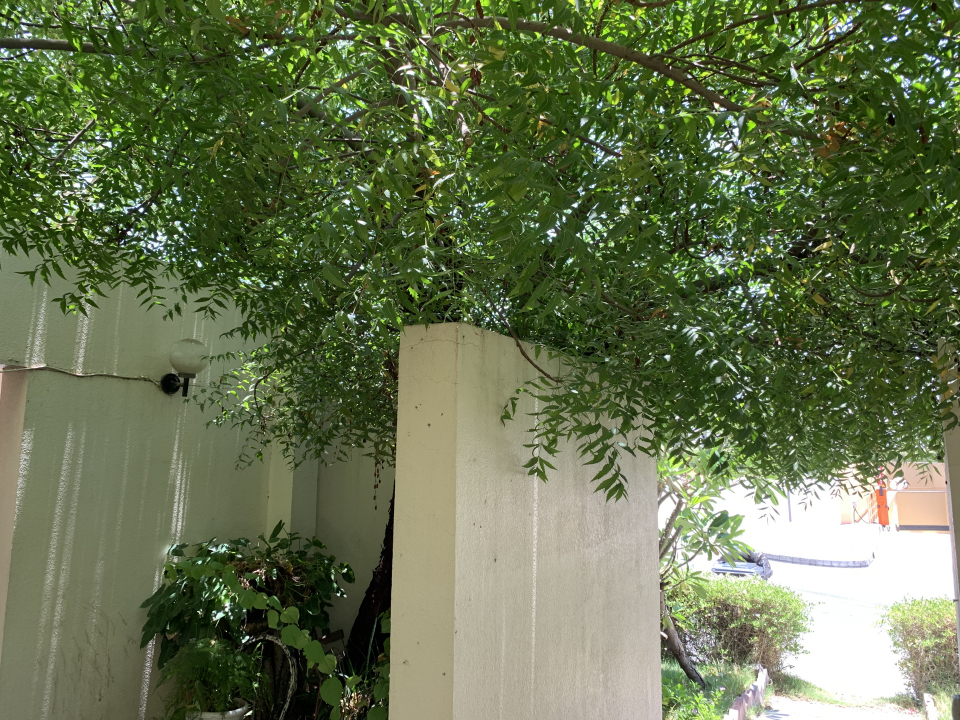 2fcc62fa-cefe-48cd-9c9d-4f57abda826b