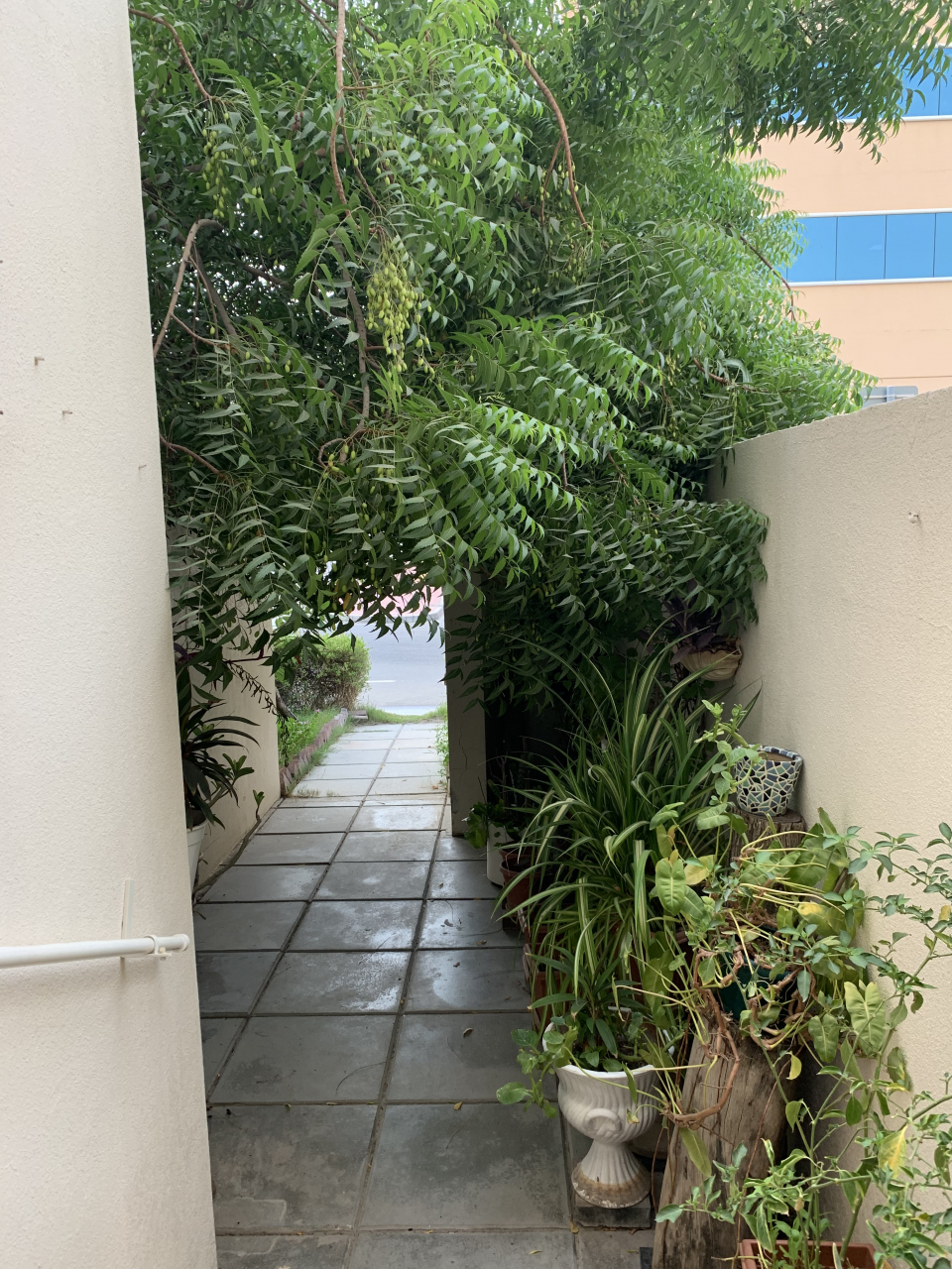 8cb330c9-0a9c-4a8a-a956-0f6f5ef1c089