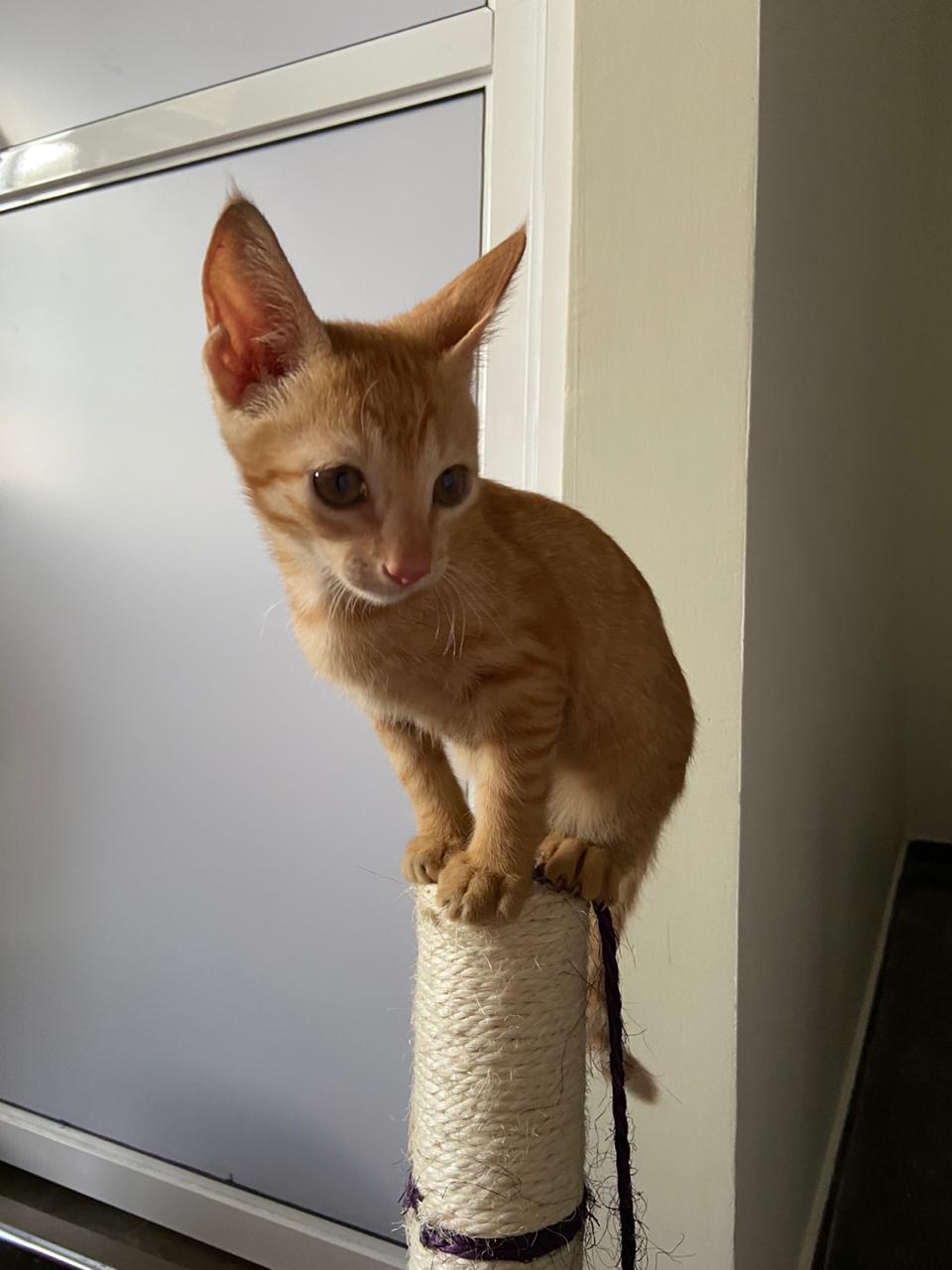 13062351-c57d-4c7a-a18f-8679ac4c425f