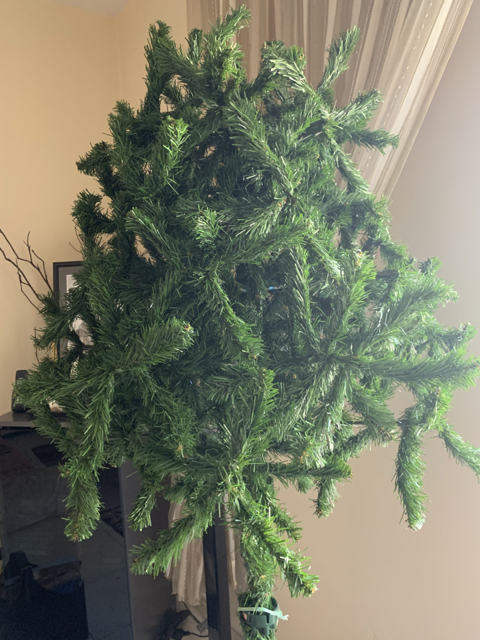 476ec970-b982-46ad-a2cf-cdf1571ab606