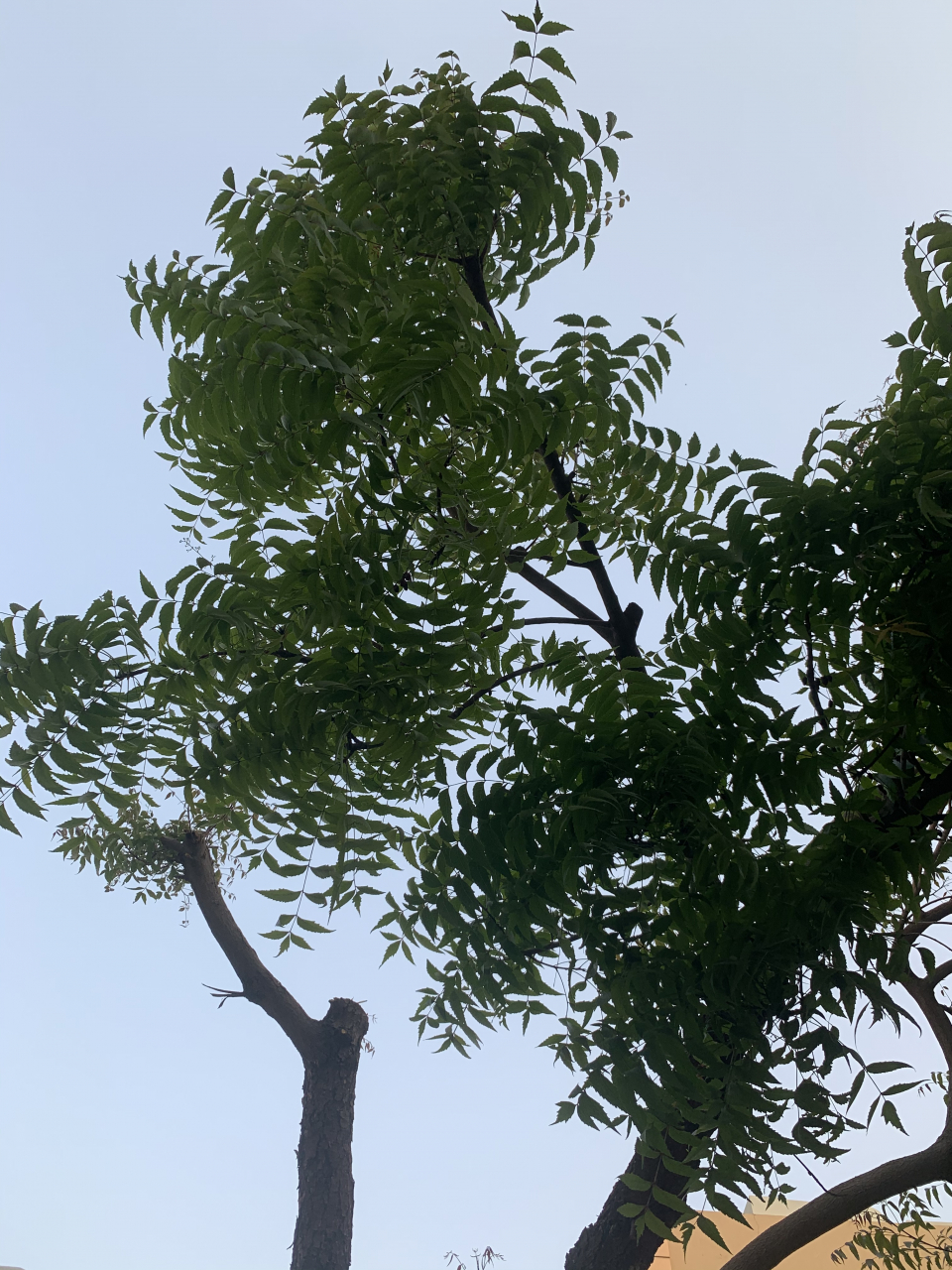 43477ddf-9fb6-4a9a-bcf9-e6953fd17daa