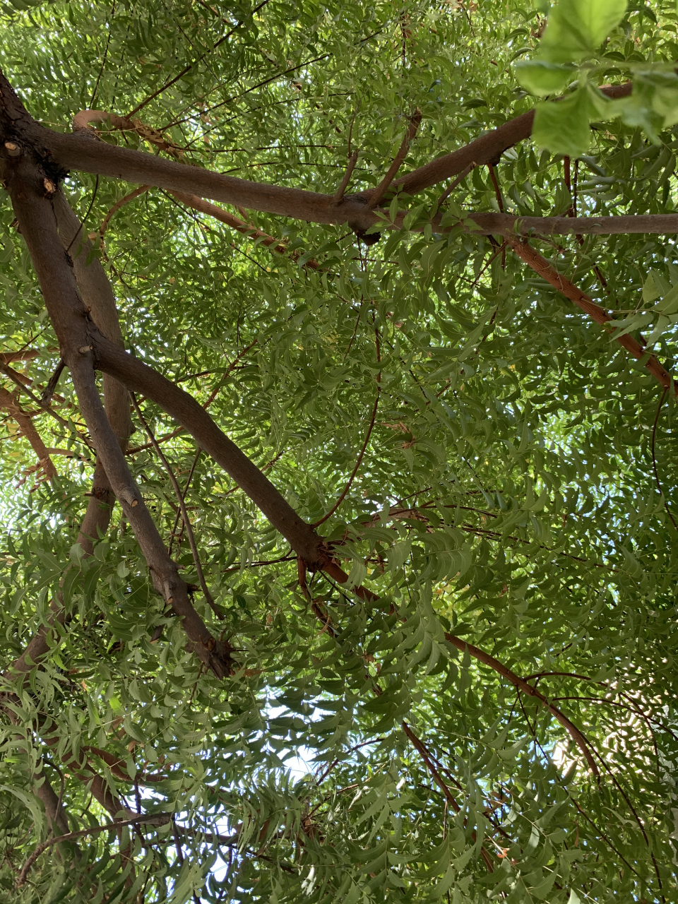 719b89d7-d330-4a99-a036-7c7e3d2c7070