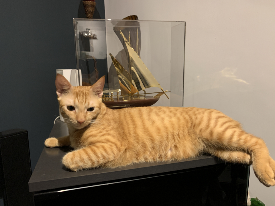 8e31afa6-95d5-77b0-52b9-55ebebab76f6