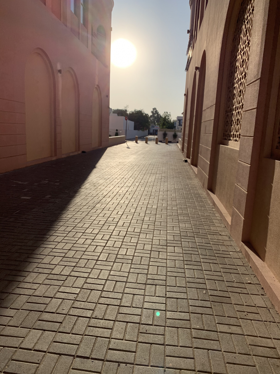 65d86dbc-f2fb-4a1c-96f0-0577ed8fcdf3